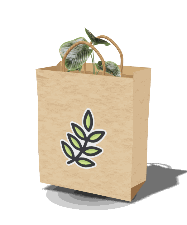 Una busta di carta kraft con i manici ritorti, una pianta che spunta e il logo Bio Plant