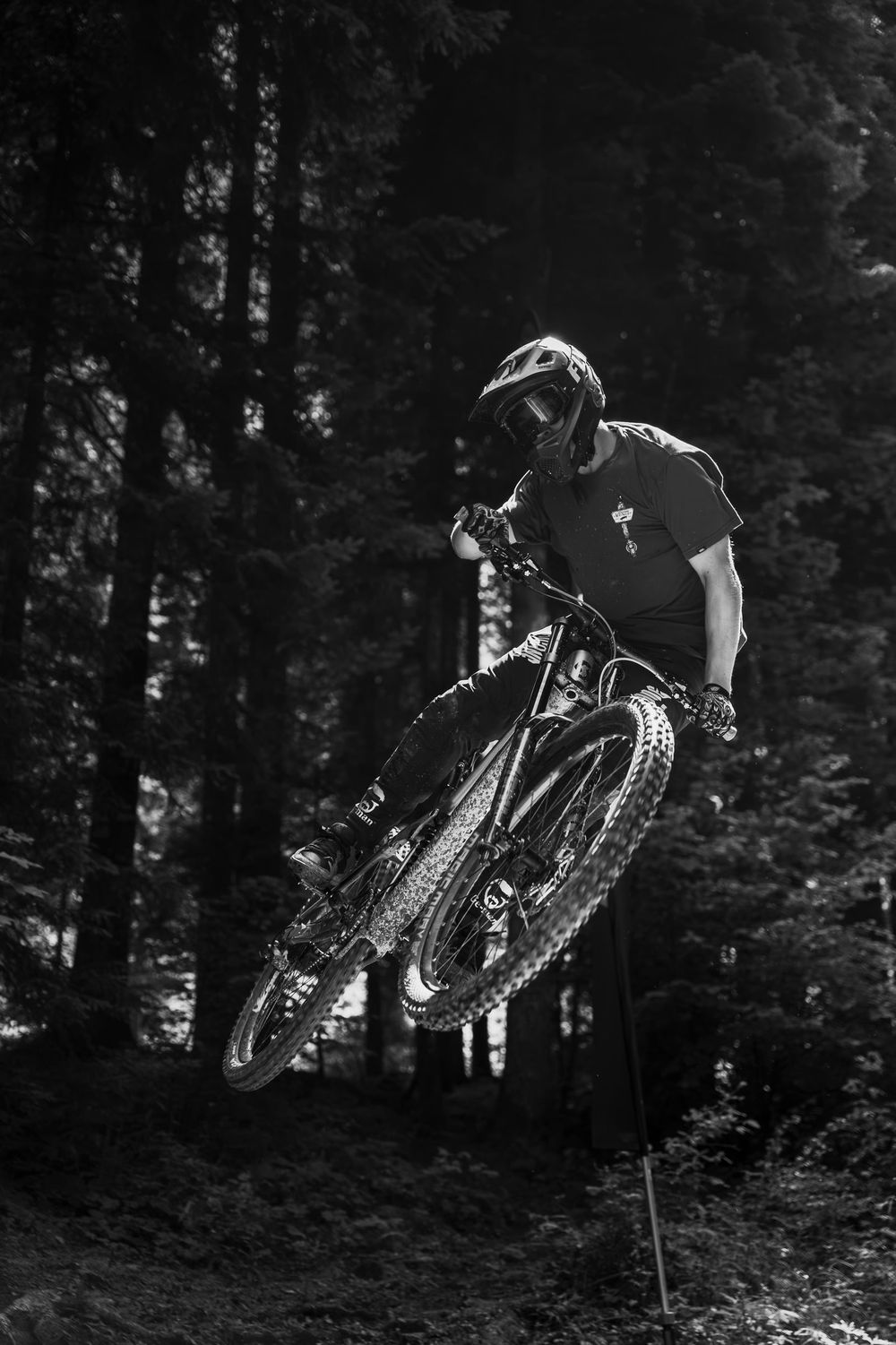 Un biker sospeso in aria tra gli abeti, in bianco e nero